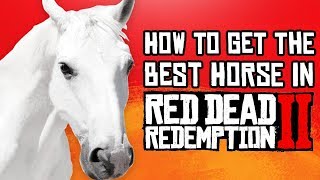 Red Dead Redemption 2  How to Get the BEST Horse Fast amp Easy Guide [upl. by Aniled]