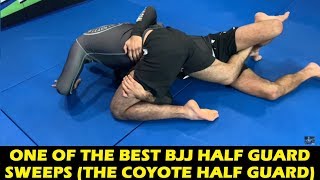 One Of The Best BJJ Half Guard Sweeps The Coyote Half Guard by Lucas Leite [upl. by Malas]