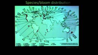 Holly Bowers presents Diversity of Pseudonitzschia in Monterey Bay [upl. by Pfister]