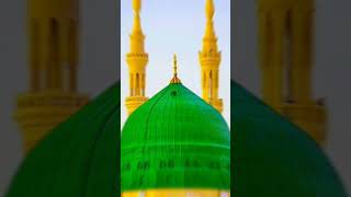 makka madina live  live status madina islamicshorts makkalivetoday islamicarchitecture [upl. by Eceeryt819]