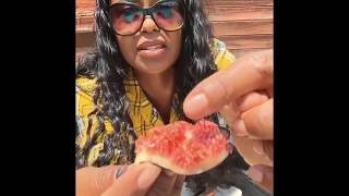 DO NOT WATCH THIS IF YOU EAT FIGS Youve been warned [upl. by Alatea334]