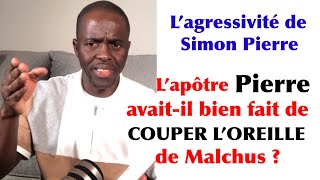 Fr Armando Lapôtre Pierre et l’oreille de Malchus  Dans la doctrine [upl. by Aneerol]