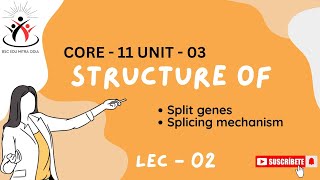 Concept of exons and introns  split genes  splicing mechanism [upl. by Zoller]