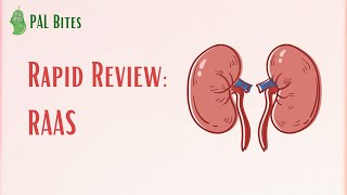 Rapid Review  Cranial Nerve VII [upl. by Annaiviv]