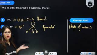 Which of the following is a pyramidal species [upl. by Ahseined]