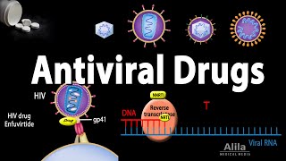 Antiviral Drugs Mechanisms of Action Animation [upl. by Cai]