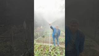 Sprinker that makes you feel better🔥🔥china agriculture shorts cropmanagement [upl. by Ruhnke364]