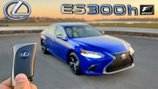 The 2022 Lexus ES 300h F Sport is Affordable Efficient Luxury InDepth Review [upl. by Aehsan395]