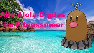 Pokémon Schwert Alle 11 AlolaDigda Locations im Fitnessmeer [upl. by Nahbois]