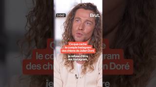 Ce que cache le compte Instagram des chiens de Julien Doré [upl. by Barbe]