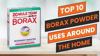 10 Surprising Ways to Use Borax Powder at Home [upl. by Sayette]