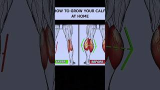 Calf grown at home shorts youtubeshorts [upl. by Cone]