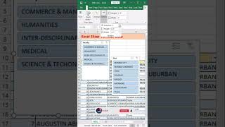 How to use Slicer in MS Excel [upl. by Roydd]