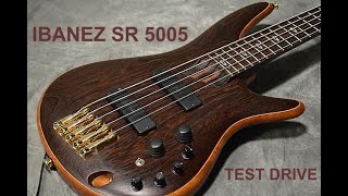 IBANEZ SR5005 Prestige bass test drive [upl. by Hofstetter]