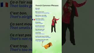 French Common Phrases Part 11 LearnFrench FrenchPhrases [upl. by Neerihs]