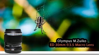 Olympus ED 30mm f35 Macro Lens  Filmmaking Today [upl. by Anelak]