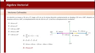 Vectores Colineales  Física [upl. by Neih573]