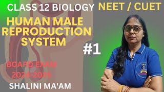 Introduction of Reproduction Class 12th I Reproduction in Organisms class 12 one shot NCERT I NEET [upl. by Lockwood]