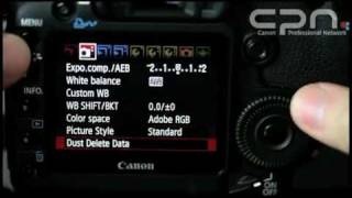 Canon CPN  Dust Delete Data [upl. by Colpin]