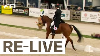 RELIVE  Dressage Day 1  CCIO4NCL I FEI Eventing Nations Cup™ 2024 Boekelo NED [upl. by Mosera]