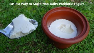 Easiest Way to Make NonDairy Probiotic Yogurt [upl. by Lynea344]