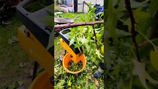 chop branches chopper branch woodworking mywork [upl. by Esyned333]