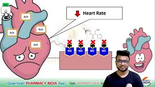 MECHANISM ACTION OF ATROPINE  PHARMACOLOGY [upl. by Love]