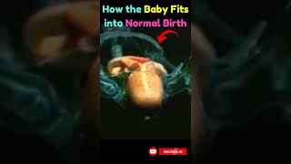 🤰The Miracle of Life❤️The Baby Fitting into the Pelvic Cavity during Normal Delivery NaturalBirth [upl. by Musser]