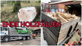 Holzfällen beendet [upl. by Adara670]