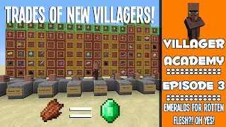 NEW Villager Trading Guide 18 Trades  Explanation amp Tutorial  3  Villager Academy [upl. by Raamaj]