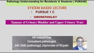 Pursue 1C Uploaded Uropathology Tumour of Urinary Bladder and Upper Urinary Tract [upl. by Adnar472]