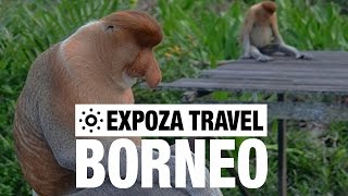 Borneo Vacation Travel Video Guide [upl. by Aillil473]