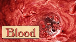 Easy Physiology  Blood  2Anti Coagulants amp Fibrinolytic System [upl. by Joanne517]