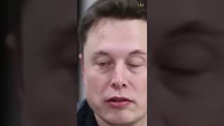 Inside Elon Musks Lavish 100 Million Homes A Detailed Look [upl. by Dlabihcra204]