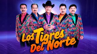 Quiero Volar Contigo ft Mariachi Caballeros de México En vivo desde Pachuca [upl. by Asnarepse]