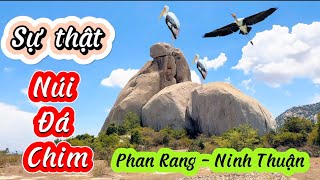 KHÁM PHÁ CHI TIẾT NÚI ĐÁ CHIM PHAN RANG NINH THUẬN  nhipsongbamien [upl. by Bleier]