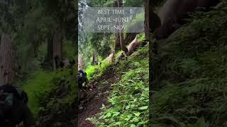 Kheer Ganga Trek  Treks near Manali  Places to visit in May  June  youtubeshorts travel [upl. by Biebel]