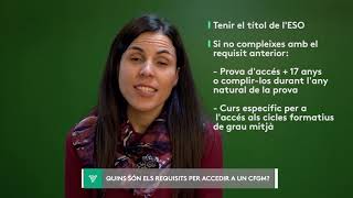 FAQ 9  Quins són els requisits per accedir a un cicle formatiu de grau mitjà [upl. by Stoat]