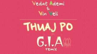 Vedat Ademi amp Vin Veli  THUAJ PO GIA Remix [upl. by Guria]