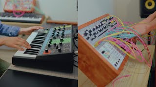 Tromos  Moog Grandmother amp Modular [upl. by Cyprio]