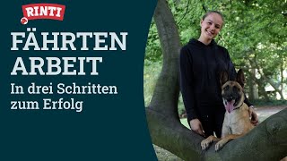 Fährtenarbeit mit Hund – in 3 Schritten zum Erfolg  RINTI [upl. by Aseeram]