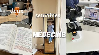 STUDY VLOG  deux semaines en médecine [upl. by Vona774]