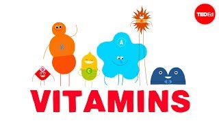 How do vitamins work  Ginnie Trinh Nguyen [upl. by Ydda]