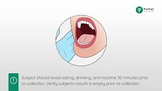 How to Collect a Buccal Swab Sample [upl. by Esinwahs]