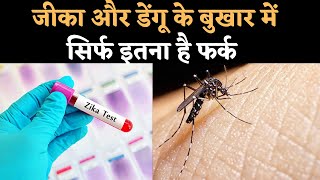 Zika Virus Vs Dengue Symptoms कही आप भी डेंगू और जीका वायरस को लेकर कंफ्यूज तो नहीं ऐसे समझें फर्क [upl. by Eseilana]