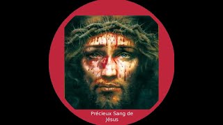 Le Chapelet du précieux sang donné par Jésus à Barnabas Nwoye [upl. by Idissak742]