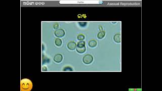 Life Science Class 10 Reproduction Part 02 [upl. by Agem]