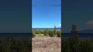 Fresh Produce at out Regenerative Farmstand in Olowalu Hawaii [upl. by Alduino]