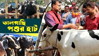 988রই মানিকের গরুছাগল কেনার মজার ভিডিও দেখুনতালগাছি পশুর হাট RIManikChitrapuri Krishi Chitra [upl. by Anauqes767]