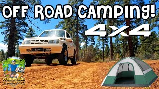 4x4 Tracker OffRoad Tent Camping Arizona White Mountains With Cats [upl. by Senn729]